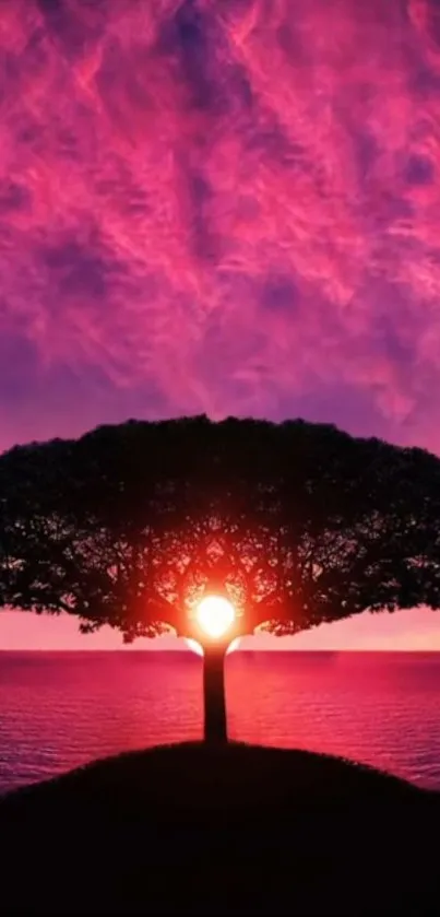 Silhouetted tree at sunset with a vibrant purple sky over water.