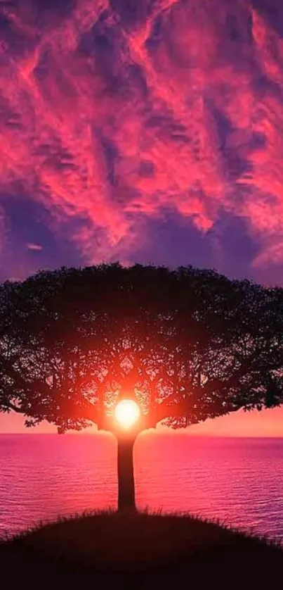 Silhouette of a tree against a vibrant pink and purple sunset sky.