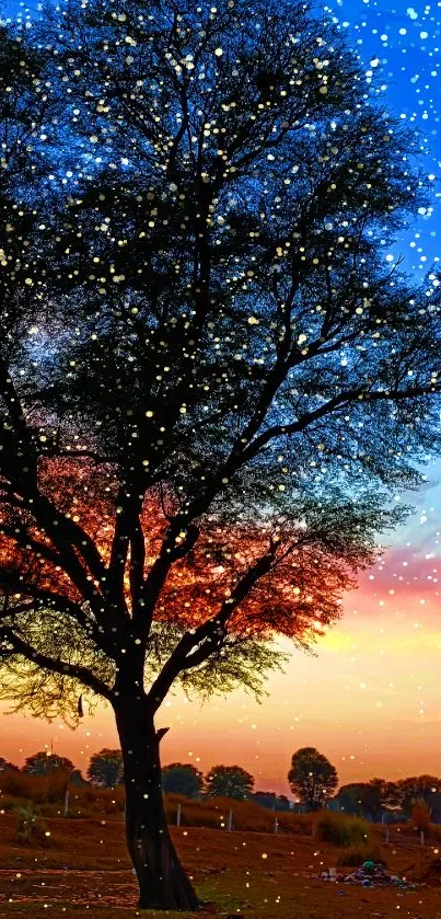 Tree silhouette against vibrant sunset sky with colorful hues.