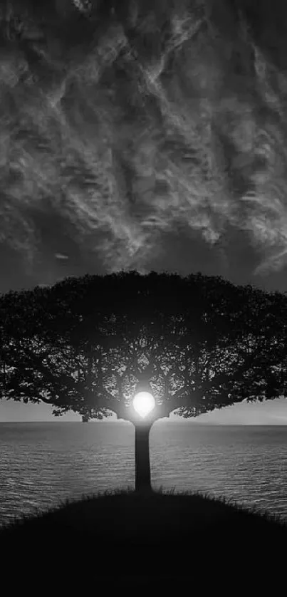 Lone tree with vibrant purple sunset and silhouette.