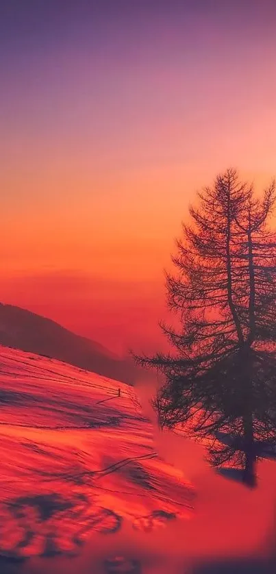 Vibrant sunset with tree silhouette on a colorful sky.