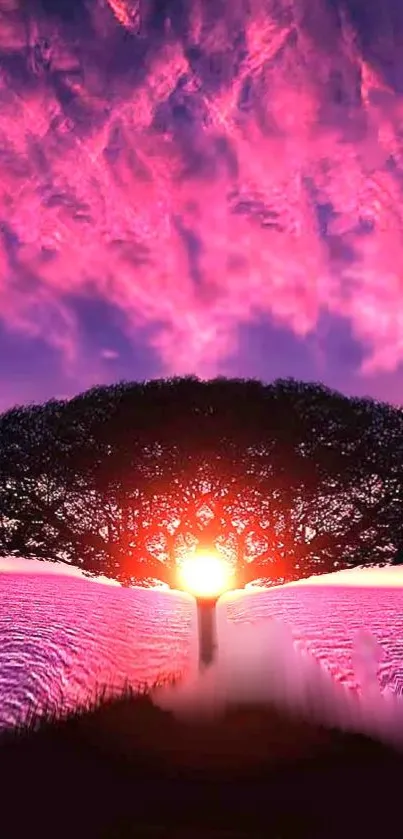 Silhouette tree at vibrant pink sunset on mobile wallpaper.