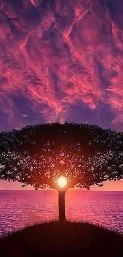 A stunning sunset tree silhouette with a purple sky and ocean.