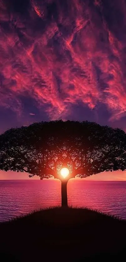 Silhouette of tree under vibrant purple sunset with ocean view.