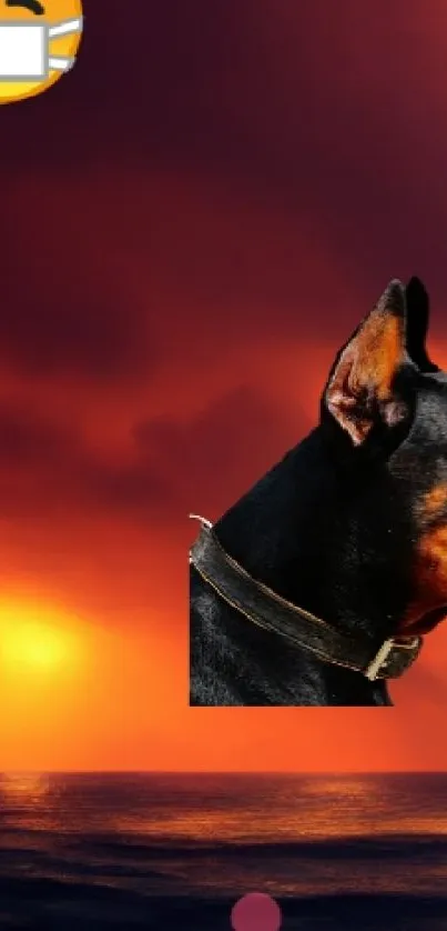 Vibrant sunset sky with a dog's silhouette and ship on the horizon.