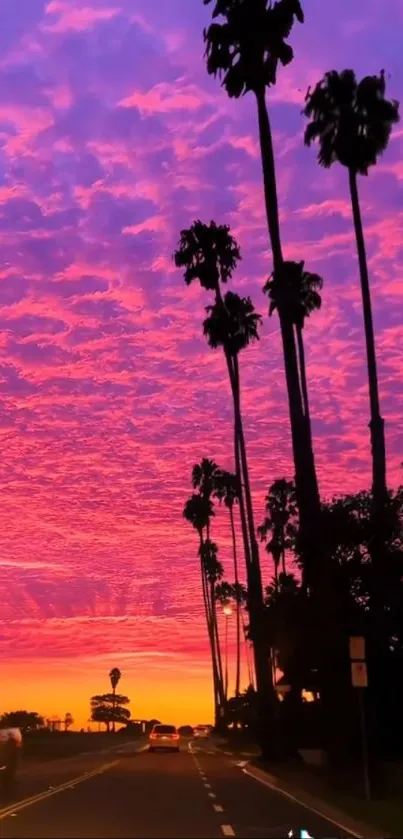 Vibrant sunset with palm trees and purple clouds