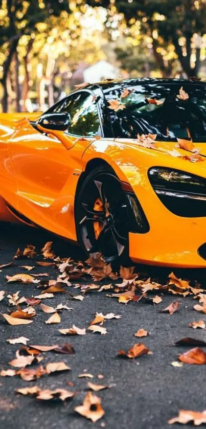 Orange supercar with autumn leaves on road.