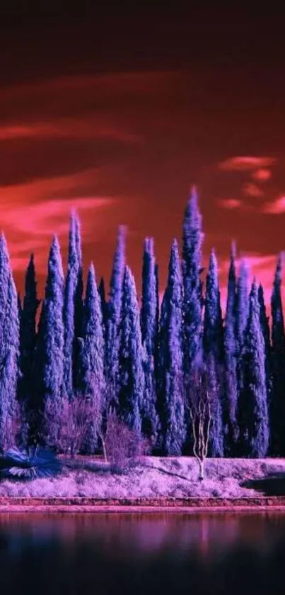 Purple forest with red sunset sky mobile wallpaper.