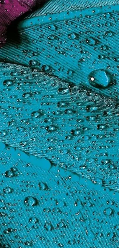 Close-up of teal feather texture with water droplets.