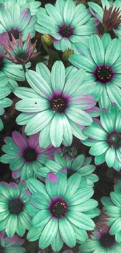 Vibrant teal flowers with purple accents.