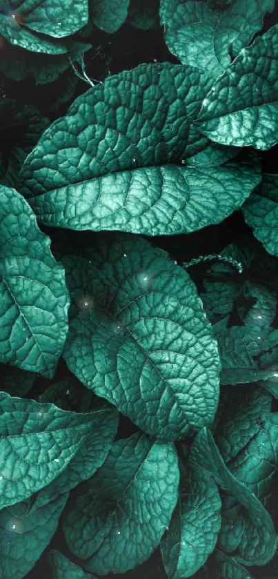 Intricate teal leaves create a rich, textured background for your mobile screen.