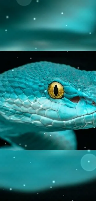 Teal snake with cosmic backdrop in vibrant detail on mobile wallpaper.