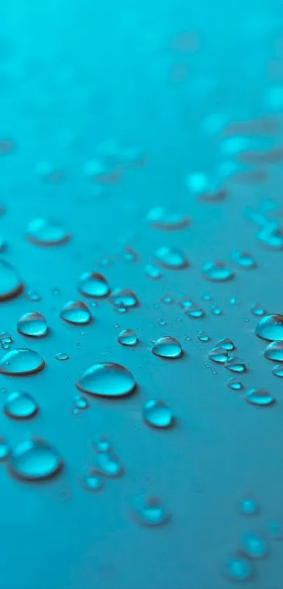 Teal wallpaper with water droplets scattered across the surface.