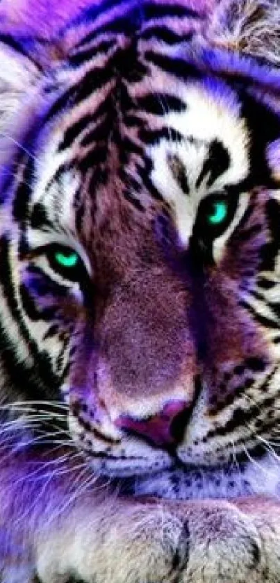 Vibrant tiger wallpaper with striking colors and captivating blue eyes.