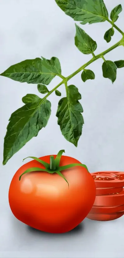 Mobile wallpaper of a tomato with green leaves.
