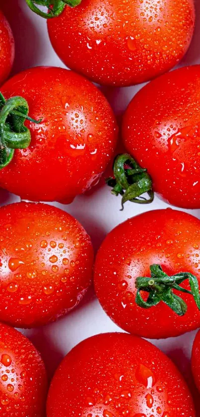 Close-up of vibrant red tomatoes with green stems, perfect for phone wallpaper.