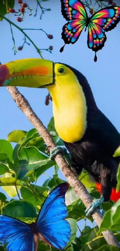 Colorful toucan with butterflies on green leaves.