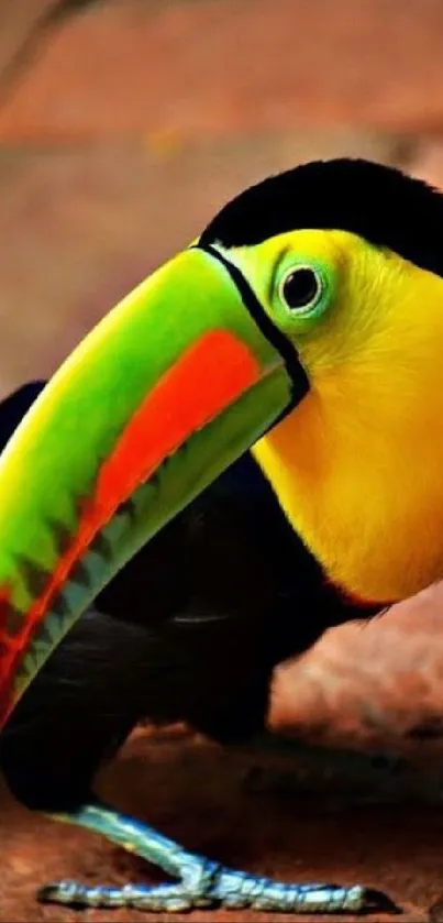 Colorful toucan with vibrant green beak on mobile wallpaper.