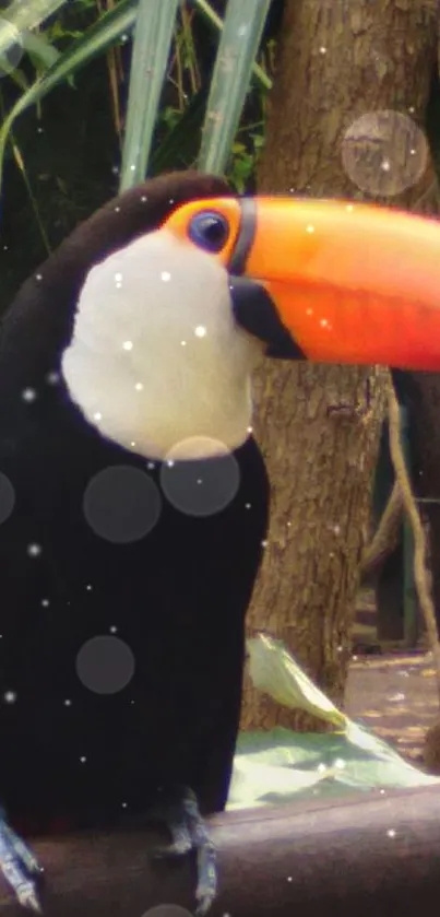 Vibrant toucan with orange beak in a jungle setting.