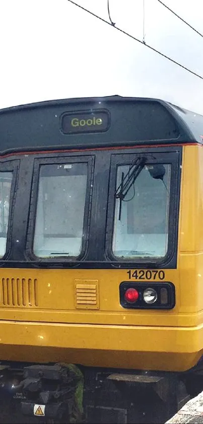 Vibrant train at a station, showcasing purple and yellow colors.