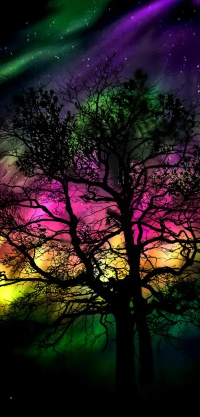 Silhouetted tree with vibrant Northern Lights.