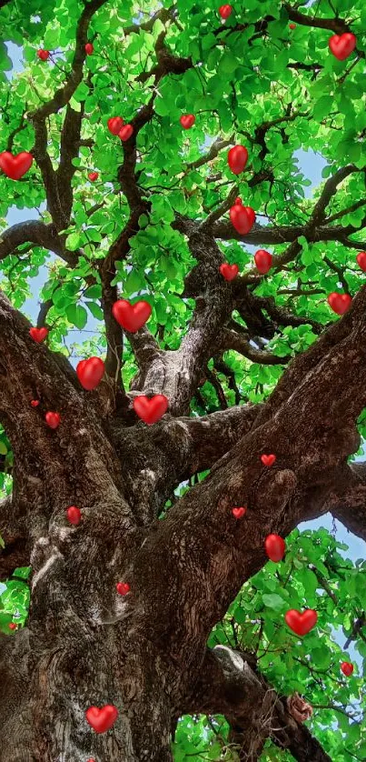 Vibrant tree canopy with lush green leaves and bright sky.