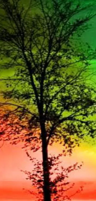 Vibrant gradient tree silhouette wallpaper with red, green, and yellow hues.