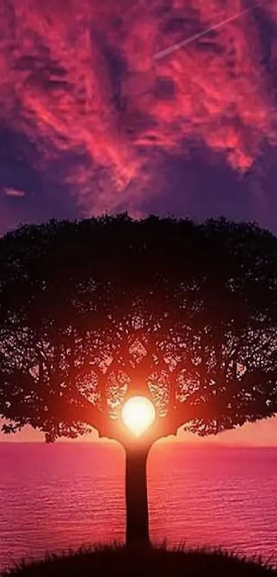 Tree silhouette against a vibrant purple sunset sky with vivid pink clouds.