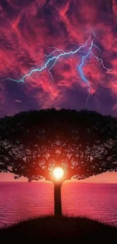 Majestic tree silhouette against a vibrant, lightning-filled sunset sky wallpaper.