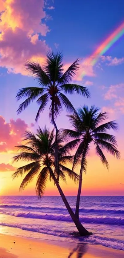 Tropical beach sunset with palm trees and rainbow.