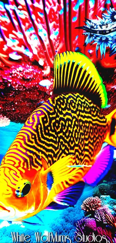 Vivid tropical fish with bold patterns in a colorful underwater setting.