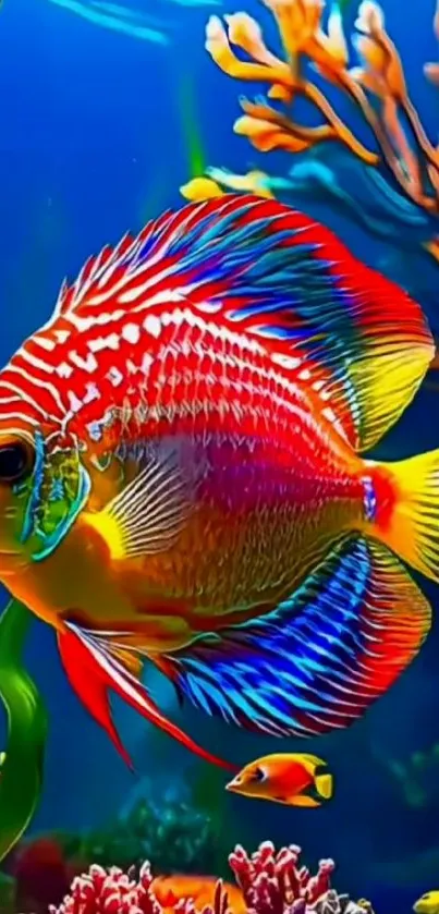 Vibrant tropical fish swimming in coral reef.