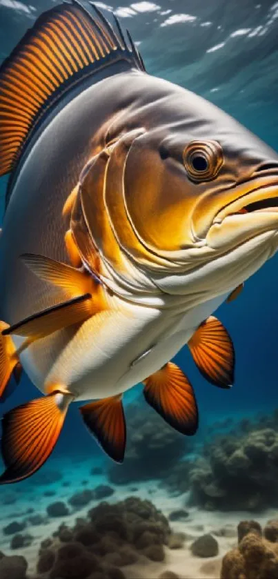 Vibrant orange tropical fish in clear ocean scenery.