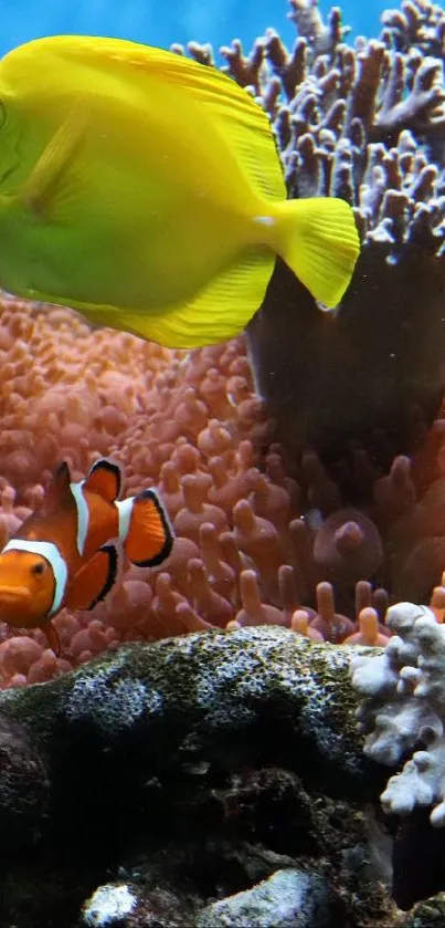 Colorful underwater scene with tropical fish and coral.