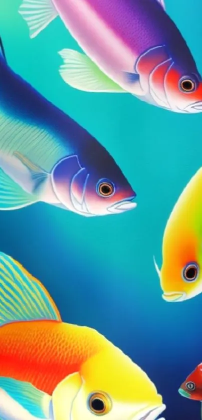 Colorful tropical fish swimming in a vivid blue background wallpaper design.