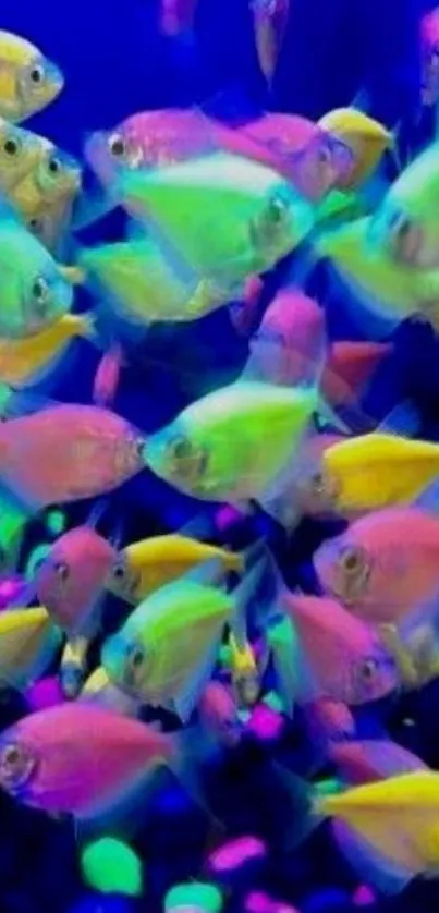 Colorful tropical fish mobile wallpaper in vibrant blue tones.