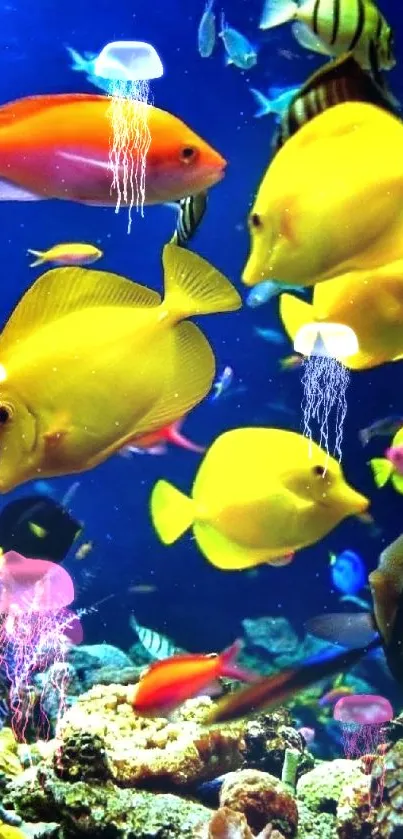 Vibrant tropical fish swimming in a colorful coral reef.