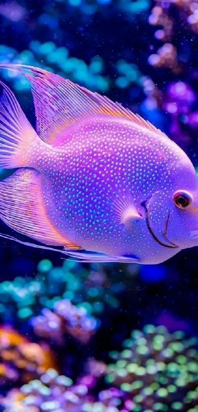 Colorful tropical fish in vibrant ocean scene.