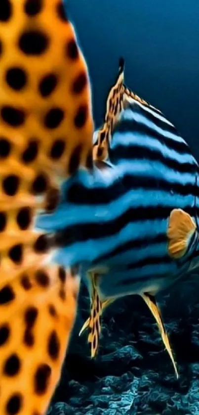 Colorful tropical fish swimming underwater with vibrant patterns.
