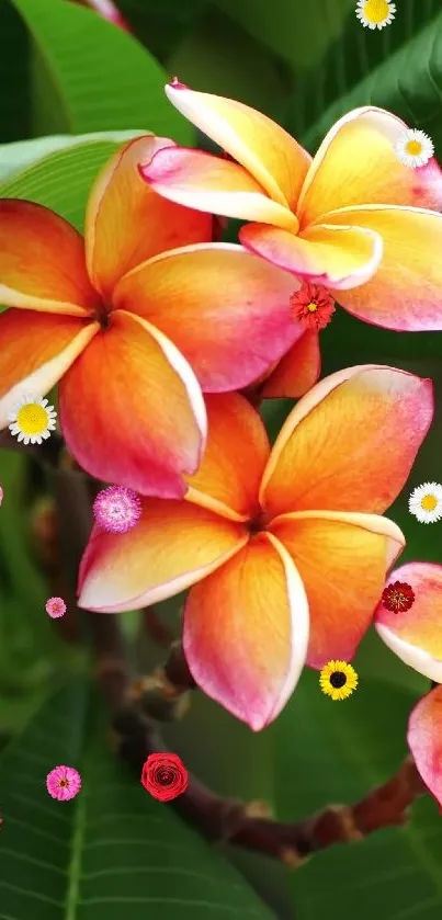 Vibrant orange and pink tropical flowers against green leaves.