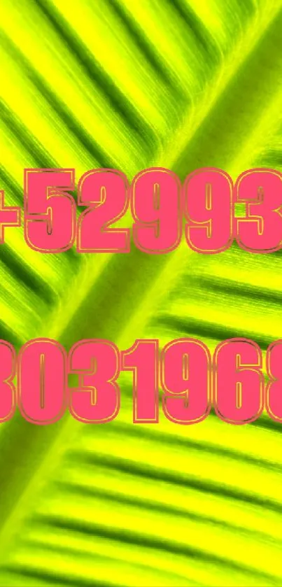 Vibrant tropical leaf wallpaper with pink text on green background.