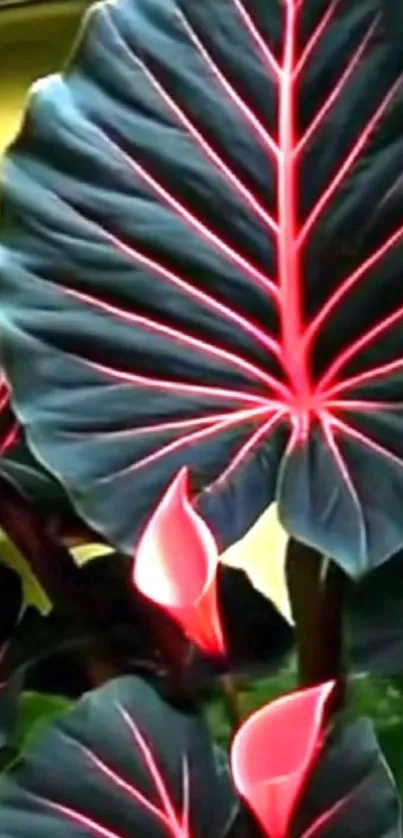 Vibrant tropical leaf wallpaper with striking colors and patterns.