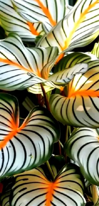 Tropical leaves with vibrant orange and green patterns.