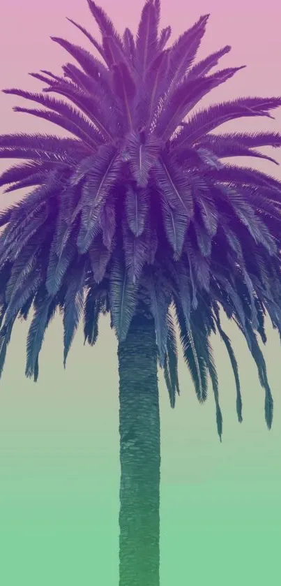 Vibrant palm tree with colorful gradient background in pink and green.