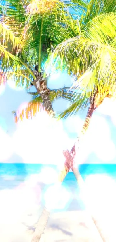 Tropical palm trees by a sunlit beach with light blue sky and ocean.