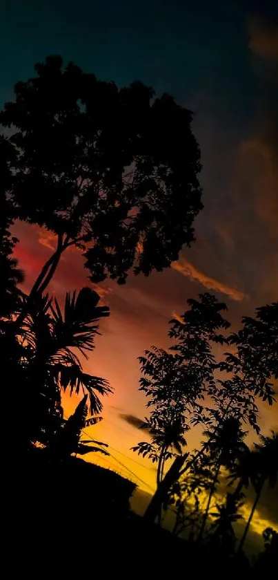 Silhouetted trees against a vibrant tropical sunset sky.