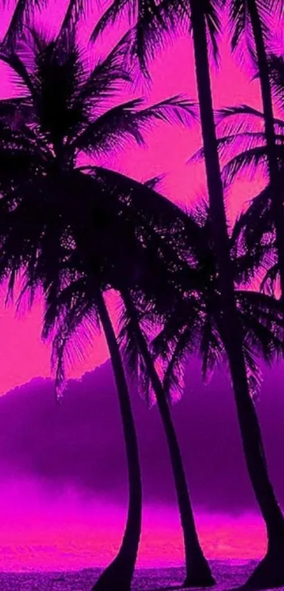 Palm trees silhouetted against a magenta sunset on a tropical beach.