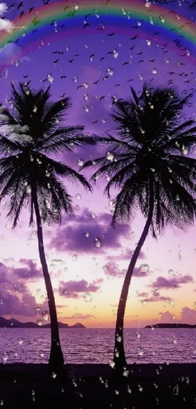 Tropical sunset wallpaper with palm trees, rainbow, and purple twilight sky.
