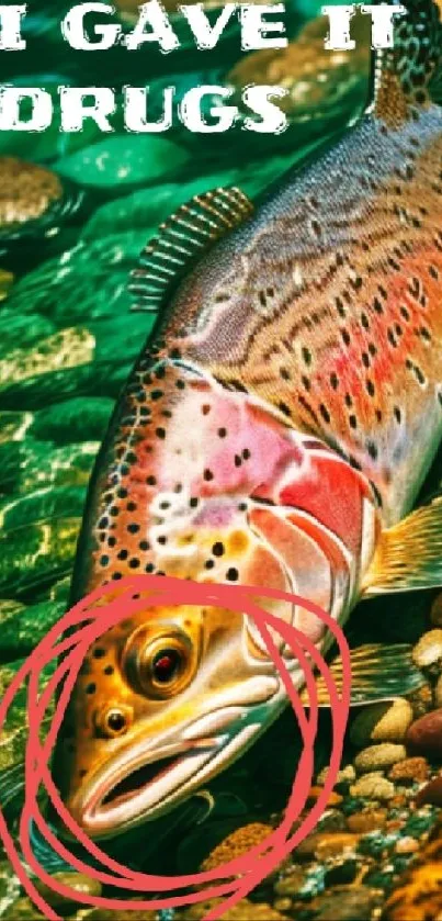 Colorful trout in a green rocky stream with text overlay.