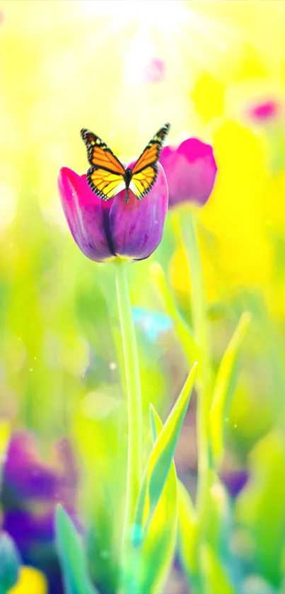 Colorful butterfly rests on tulip under a sunny sky.